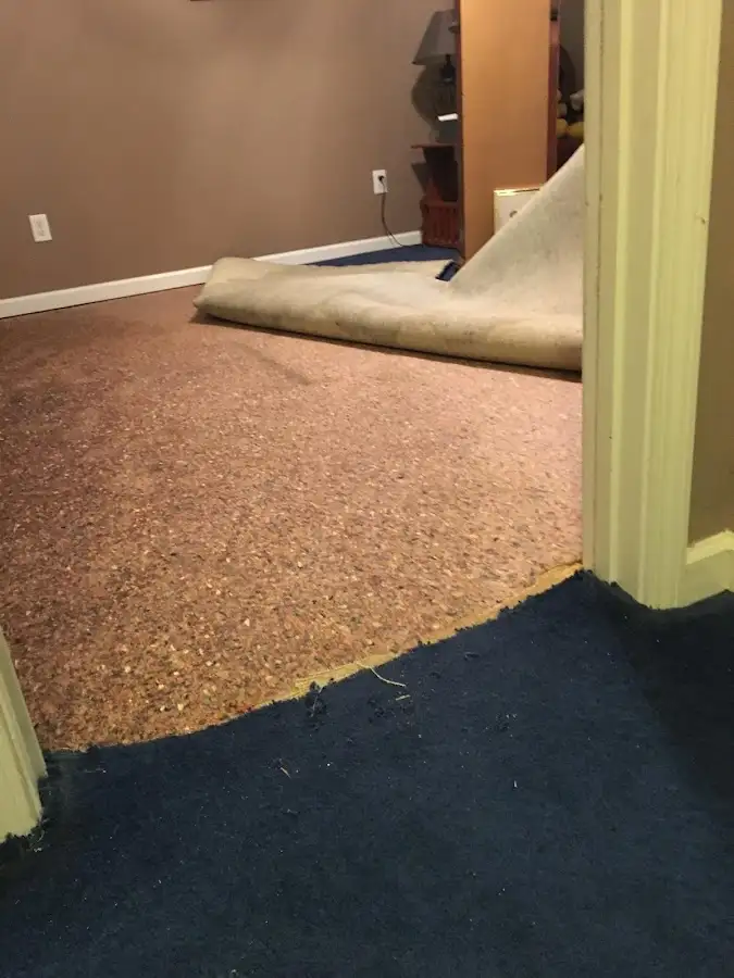Carpet pad removal revealing water damage during Drying & Dehumidification in Takoma Park