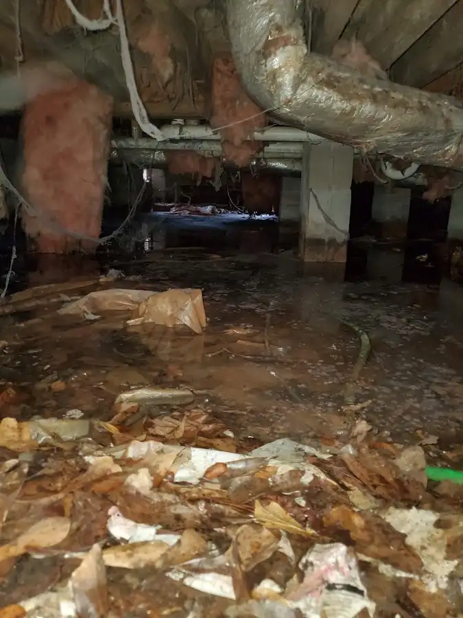 Crawl space flood assessment for Commercial Water Damage Restoration in Takoma Park