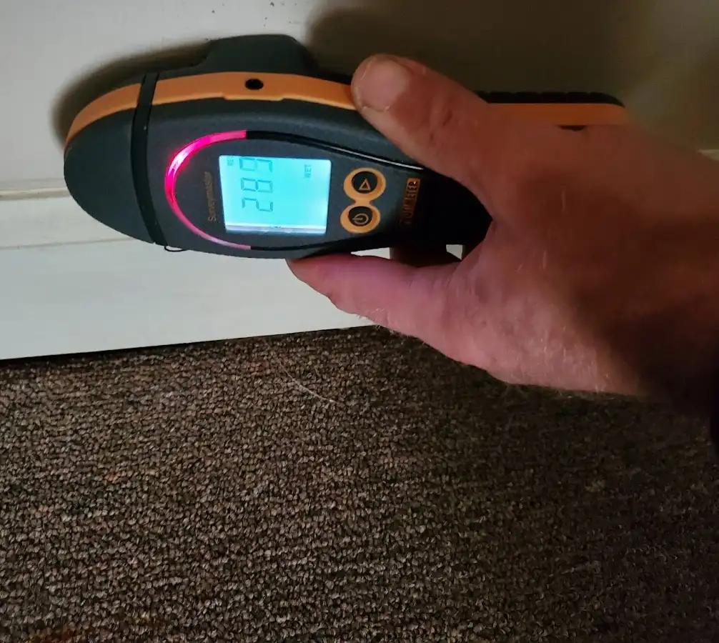 Moisture detection at baseboard during Sewage Cleanup & Sanitation in Takoma Park